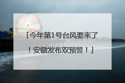 今年第1号台风要来了！安徽发布双预警！