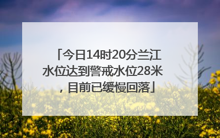 今日14时20分兰江水位达到警戒水位28米，目前已缓慢回落