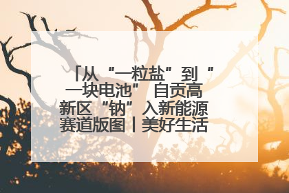 从“一粒盐”到“一块电池” 自贡高新区“钠”入新能源赛道版图丨美好生活有“盐”味