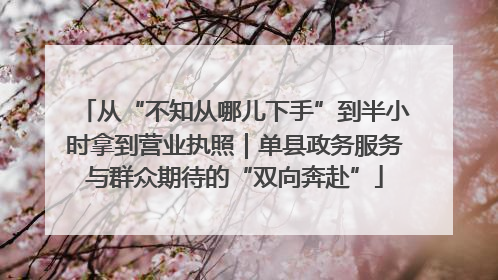 从“不知从哪儿下手”到半小时拿到营业执照｜单县政务服务与群众期待的“双向奔赴”