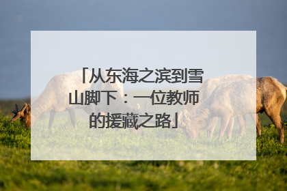从东海之滨到雪山脚下：一位教师的援藏之路