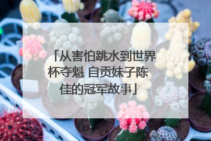 从害怕跳水到世界杯夺魁 自贡妹子陈佳的冠军故事