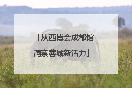 从西博会成都馆洞察蓉城新活力