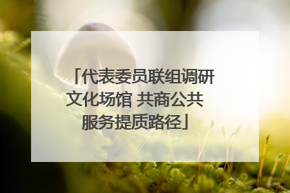 代表委员联组调研文化场馆 共商公共服务提质路径