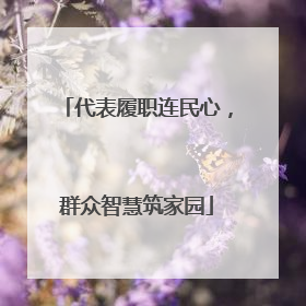 代表履职连民心，群众智慧筑家园