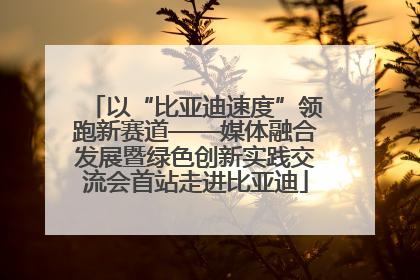 以“比亚迪速度”领跑新赛道——媒体融合发展暨绿色创新实践交流会首站走进比亚迪