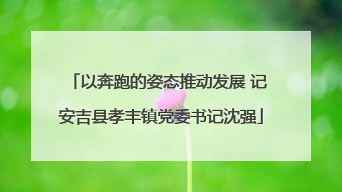 以奔跑的姿态推动发展 记安吉县孝丰镇党委书记沈强