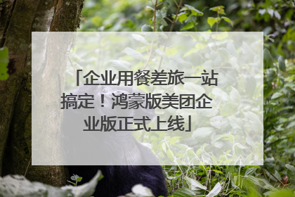 企业用餐差旅一站搞定！鸿蒙版美团企业版正式上线