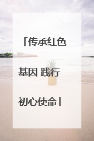 传承红色基因 践行初心使命