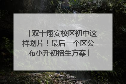 双十翔安校区初中这样划片！最后一个区公布小升初招生方案