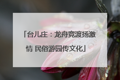 台儿庄：龙舟竞渡扬激情 民俗游园传文化