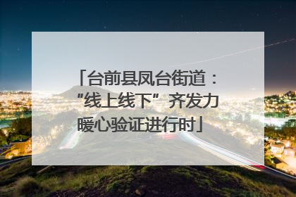 台前县凤台街道：“线上线下”齐发力 暖心验证进行时