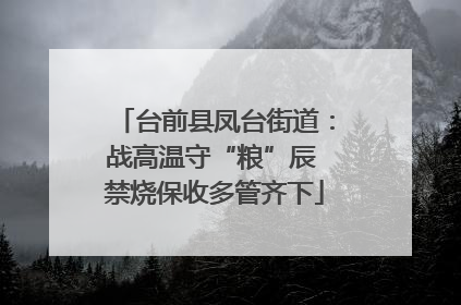 台前县凤台街道：战高温守“粮”辰 禁烧保收多管齐下