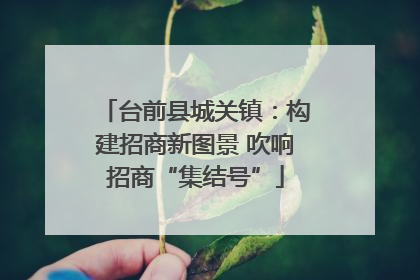 台前县城关镇：构建招商新图景 吹响招商“集结号”