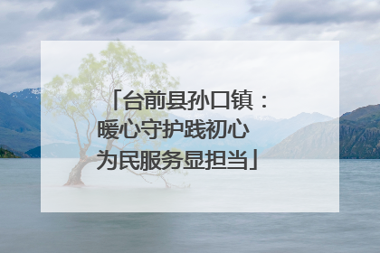 台前县孙口镇：暖心守护践初心 为民服务显担当