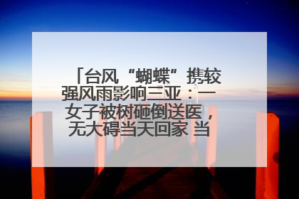 台风“蝴蝶”携较强风雨影响三亚：一女子被树砸倒送医，无大碍当天回家 当地已紧急清障