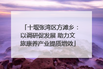 十堰张湾区方滩乡：以调研促发展 助力文旅康养产业提质增效