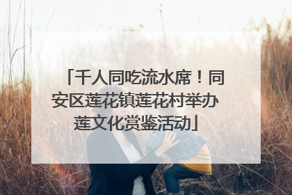 千人同吃流水席！同安区莲花镇莲花村举办莲文化赏鉴活动