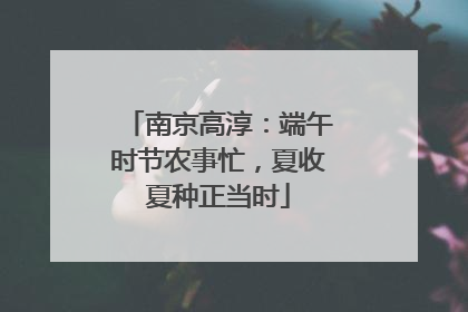南京高淳：端午时节农事忙，夏收夏种正当时