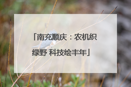 南充顺庆：农机织绿野 科技绘丰年
