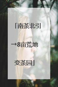 南茶北引→8亩荒地变茶园