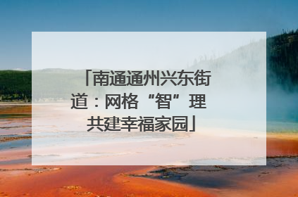 南通通州兴东街道：网格“智”理 共建幸福家园