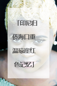 印尼归侨海口重温琼崖红色记忆