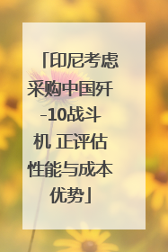 印尼考虑采购中国歼-10战斗机 正评估性能与成本优势