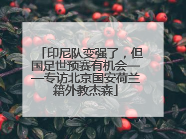 印尼队变强了，但国足世预赛有机会——专访北京国安荷兰籍外教杰森