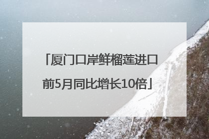 厦门口岸鲜榴莲进口 前5月同比增长10倍