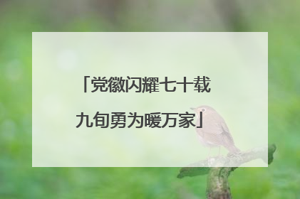 党徽闪耀七十载 九旬勇为暖万家