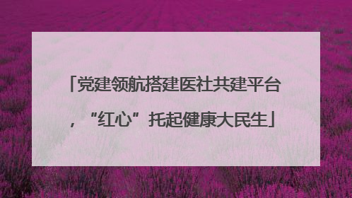 党建领航搭建医社共建平台，“红心”托起健康大民生