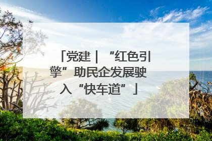 党建｜“红色引擎”助民企发展驶入“快车道”