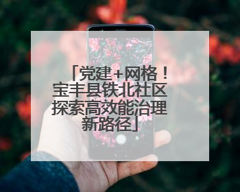 党建+网格！宝丰县铁北社区探索高效能治理新路径