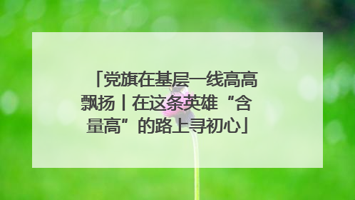 党旗在基层一线高高飘扬丨在这条英雄“含量高”的路上寻初心