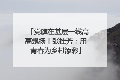 党旗在基层一线高高飘扬丨张桂芳：用青春为乡村添彩