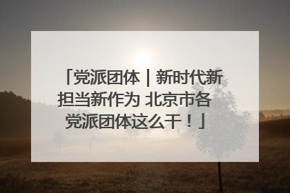 党派团体｜新时代新担当新作为 北京市各党派团体这么干！