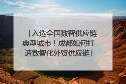 入选全国数智供应链典型城市！成都如何打造数智化外贸供应链