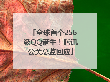 全球首个256级QQ诞生！腾讯公关总监回应