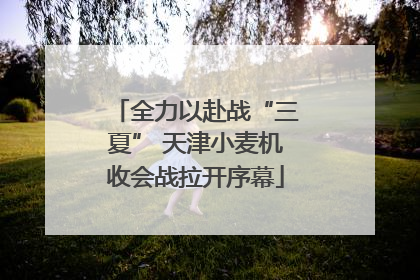 全力以赴战“三夏” 天津小麦机收会战拉开序幕