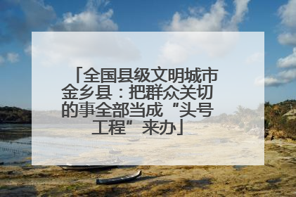 全国县级文明城市金乡县：把群众关切的事全部当成“头号工程”来办