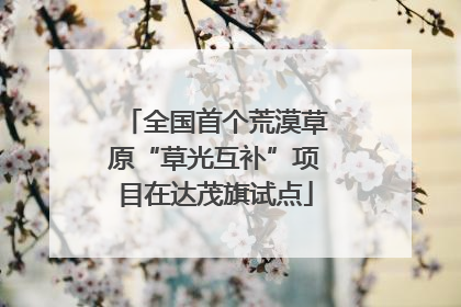 全国首个荒漠草原“草光互补”项目在达茂旗试点