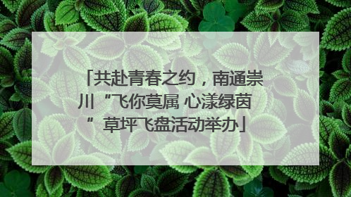 共赴青春之约，南通崇川“飞你莫属 心漾绿茵”草坪飞盘活动举办