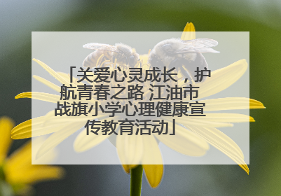 关爱心灵成长，护航青春之路 江油市战旗小学心理健康宣传教育活动