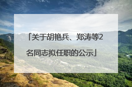 关于胡艳兵、郑涛等2名同志拟任职的公示