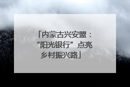 内蒙古兴安盟：“阳光银行”点亮乡村振兴路