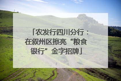 农发行四川分行：在叙州区擦亮“粮食银行”金字招牌