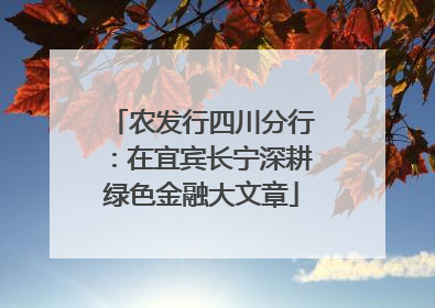 农发行四川分行：在宜宾长宁深耕绿色金融大文章