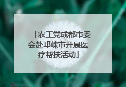 农工党成都市委会赴邛崃市开展医疗帮扶活动