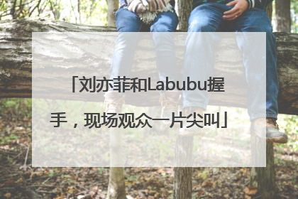 刘亦菲和Labubu握手，现场观众一片尖叫